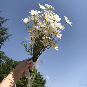 新款影楼摄影新娘婚纱照手拿仿真旅拍小清新外景小雏菊手捧花道具