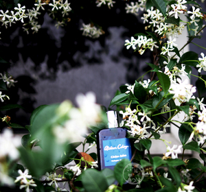 atelier cologne cedre atlas 100ml 古龙香水lene15608100096545