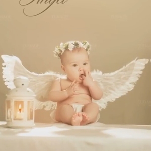 新款儿童摄影道具百天周岁宝宝天使翅膀影楼拍照道具羽毛翅膀造型