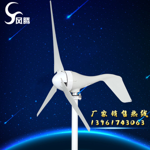 发电风力小型机厂家直销100-300W迷你风力发电机12V24V工程路灯用