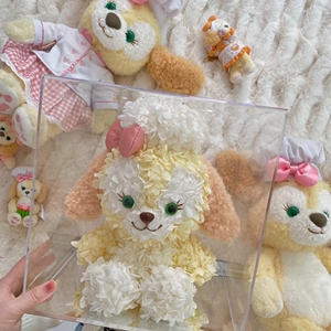 迪士尼曲奇狗饼饼cookie百变萌宠狗狗贵宾泰迪单身狗永生花摆件礼