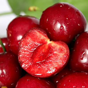 大连美早大樱桃 代发3/5斤新鲜水果车厘子香甜当季大樱珠德邦空运
