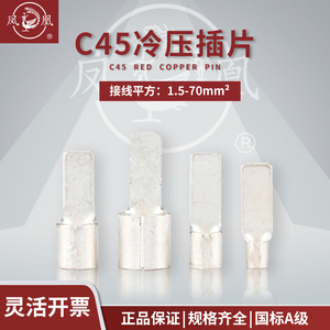 凤凰冷压插片C45-1.5  6 10 25接线端子鸭嘴式钎片铜线鼻子套装