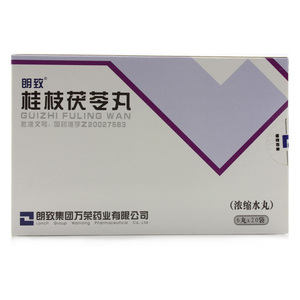 桂枝茯苓丸浓缩水丸朗致