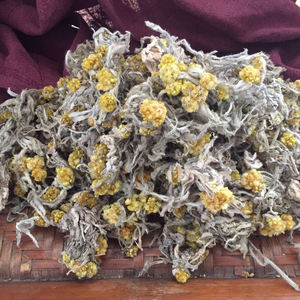 90tb776528963淘宝云南正宗清明草新鲜晒干鼠曲草清明菜绒毛鼠麴