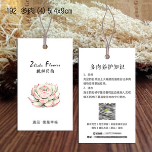 多肉卡片