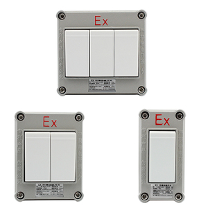 上海新黎明sw墙壁开关1开2开三联86型防爆照明灯具控制开关