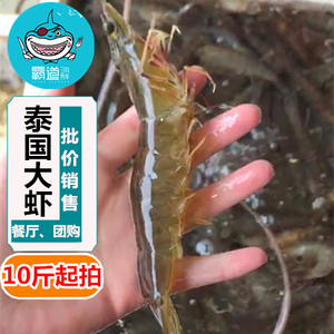 成都霸道海鲜 鲜活明虾500g10斤起拍 泰国大虾活虾鲜虾鲜活基围虾