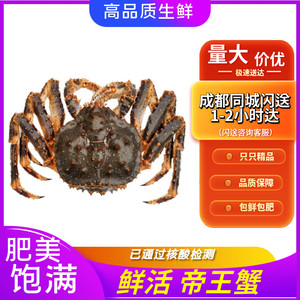 促销海鲜 鲜活帝王蟹皇帝蟹长腿蟹王 3-7斤特大超大螃蟹 鲜活发货