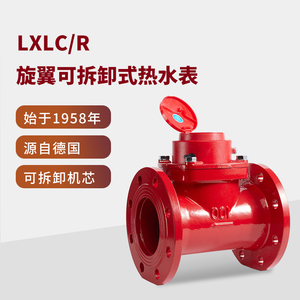 宁波总厂牌大口径水平横装立式可拆卸旋翼式热水表LXLC/R宁波水表