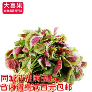 新鲜东北红苋菜500g红汗菜红米菜农家蔬菜野菜鲜嫩苋菜