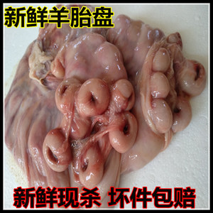 羊胎素羊胎盘
