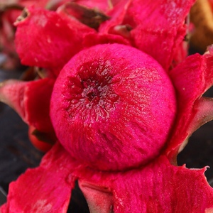 福建红绣球火龙果红心新鲜5斤当季热带水果产地直发蜜宝大果包邮