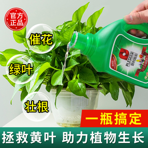 绿萝营养液植物通用型水培专用肥料富贵竹铜钱草白掌花有机营养液