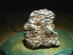 武士罗布泊蛋白石开片哈密奇石新款天雕艺术观赏石收藏戈壁原石若