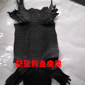 鳄鱼皮料边角料