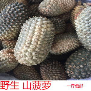 山菠萝药材