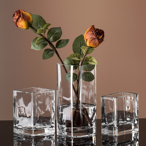 现代简约创意花瓶透明玻璃方缸客厅办公室餐桌装饰玻璃花瓶摆设