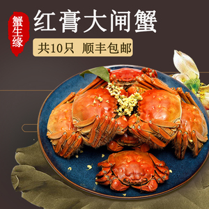 大闸蟹六月黄兴化