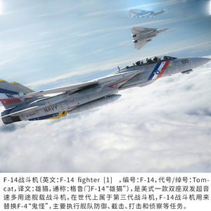 f14雄猫战斗机模型合金f15飞机精品仿真成品军事飞机摆件1:100