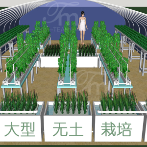 大棚无土栽培种植系统规划设计 水培种菜设备定制 水肥一体灌溉