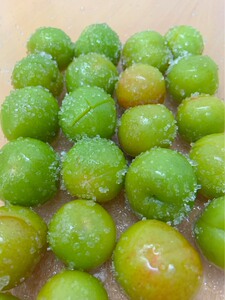 潮汕新鲜梅汁甘草水果卤李拖李酸甜开胃孕妇腌水果腌李一斤脆李