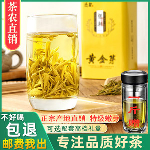 正宗黄金芽茶叶2024年新茶安吉春茶特级白茶绿茶250g礼盒装黄金茶
