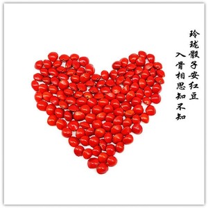 玲珑骰子安红豆相思豆种子散珠血菩提子原籽手链手串饰品打孔红豆
