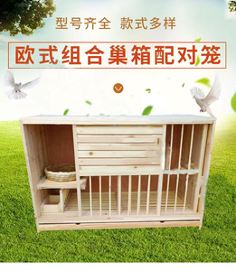 96146人付款淘宝鸽子笼信鸽巢箱配对笼赛鸽配对巢箱实木鸽子笼鸽具