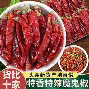 印度s17魔鬼辣椒王500g 带帽印度椒魔鬼椒干辣椒特辣椒干辣椒面
