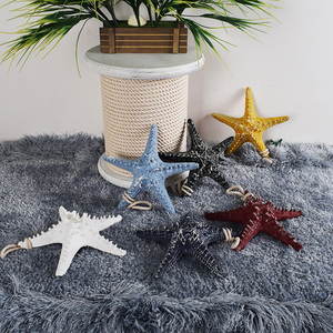 地中海风格22cm霸王海星装饰摆件海洋馆背景墙壁挂创意家居饰品