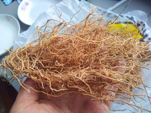 贵州地产野生徐长卿中药材 对叶莲竹叶细辛獐耳草辽刁竹干货500克