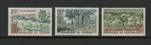 塞内加尔 1965 森林 树木 雕刻 3全 邮票 原胶无贴