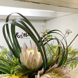 捆扎仿真剑叶水草钢丝草插花木贼软装花艺美陈道具造景小龙须藤条