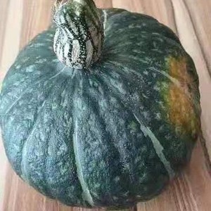 嘎嘎面东北老倭瓜农家院老爸自种窝瓜谢花面甜粉糯南瓜农家肥无药