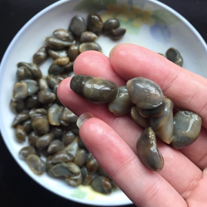 温州特产醉泥螺肉脆即食野生黄泥螺咸淡适中 500g腌制即食田螺狮