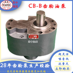 电动CB-B80 CB-B100 XCB-B125双向齿轮泵 油泵  稀油站专用润滑泵