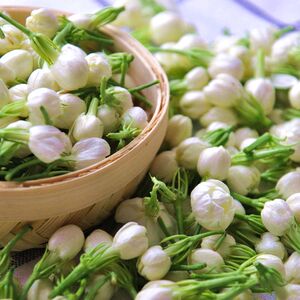 【萝拉】新鲜 小花茉莉纯露250ml 头道蒸馏 肌肤活力水