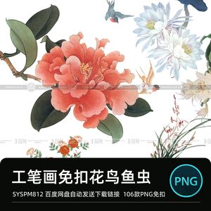 中式古典传统花鸟鱼植物牡丹玉兰花工笔画免扣图片PNG临摹海报图