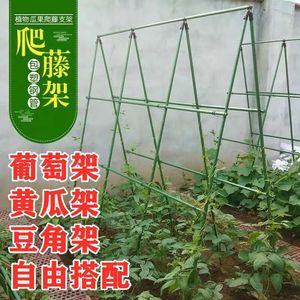 202人付款天猫菜园黄瓜爬藤架花架葡萄架子阳台豆角架植物园艺花支架