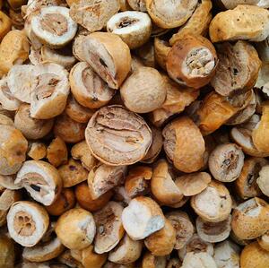 川楝子 2斤包邮 苦楝子 楝实 金铃子 500g克5元