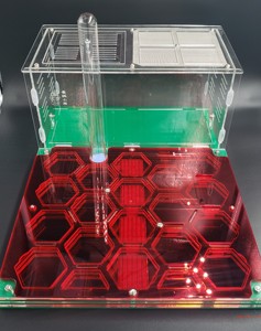 猛蚁专用混凝土石膏亚克力大型平面蜂巢PLUS代替蚂蚁工坊城堡帝国