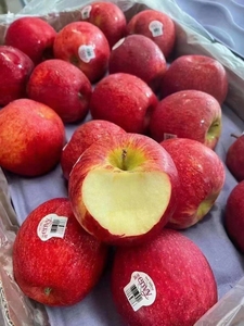 美国进口爱妃苹果特级水果礼盒红苹果envy新鲜大果包邮