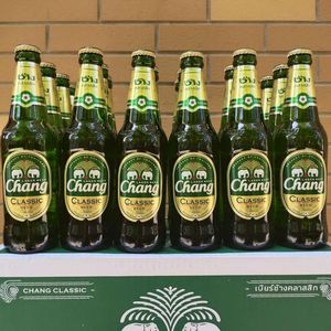 现货24年3月320ml/24瓶白熊泰国原装进口泰象牌清爽型啤酒老挝LEO