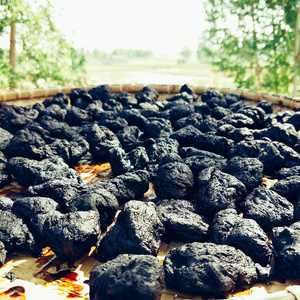 真正九蒸九晒熟地黄 精选焦作野生熟地王九制无沙怀地黄500克包邮