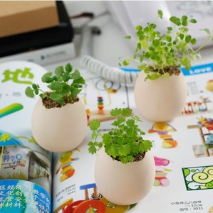 小花农花蛋办公室桌面创意迷你盆栽幸运蛋鸡蛋壳植物蛋生日礼物