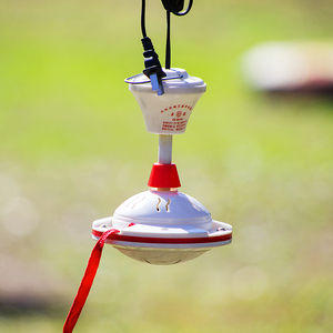 赶苍蝇驱蚊风扇熟食店专用厨房驱蚊健康环保无伤害旋转吊扇220伏