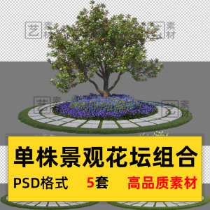 单株景观花坛 园路植物配置造景方案效果图园林景观设计psd素材