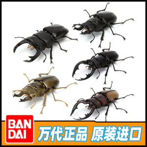 万代 扭蛋 生物大图鉴 甲虫 锹形虫 独角仙 03 仿真昆虫 75385