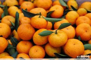 正宗江西南丰蜜橘桔子现采现发贡橘南丰桔子新鲜孕妇特产水果20斤
